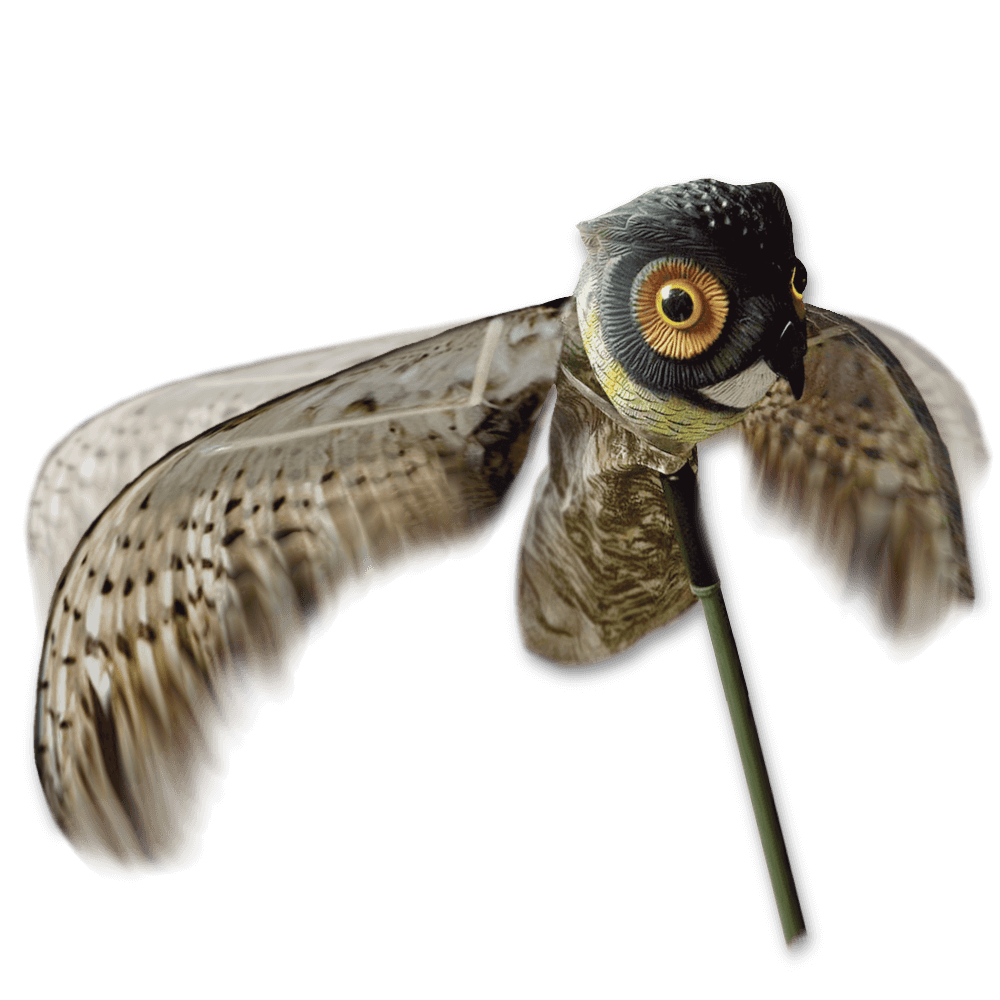 Livagtig skræmmeugle med bevægelige vinger